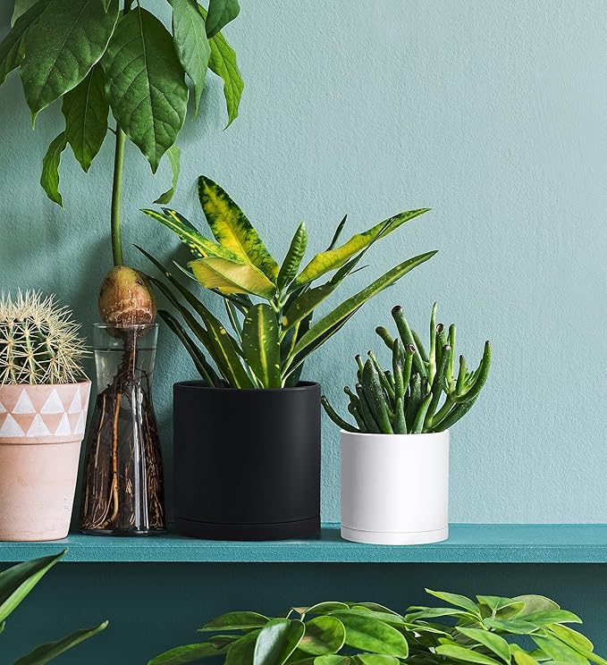 D'vine Dev 2 Pack 4.5 Inch Modern Plastic Plant Pots, Small Garden Planters for Plant with Drainage Holes and Saucers, White Color, 74-Z-F-1