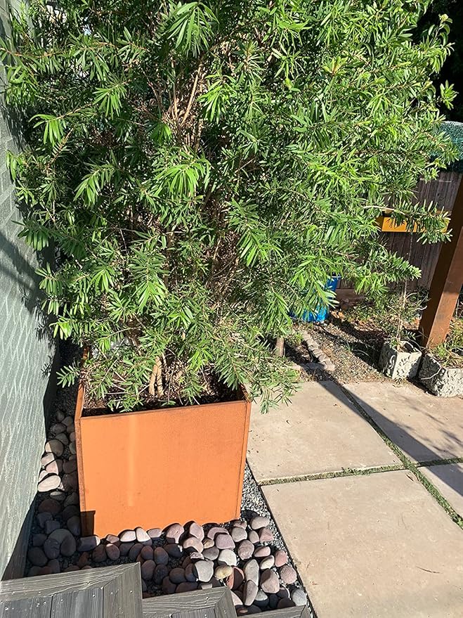 Corten Steel Planter Box Metal Square Planters Steel Large Planter Outdoor Tall Plant Durable Antique Detached for Commercial Residential Patio Deck and Backyard 26 Inch
