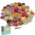 SACATR Dried Flowers, 50 Bags 100% Natural Dried Herbs Kit for Soap Making, Candle, Resin Jewelry Making, Bath, Nail - Include Rose Petals, Rosebuds, Lilium, Jasmine, Don't Forget Me and More