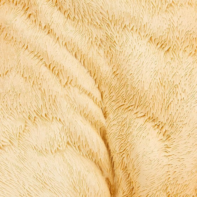 Design Toscano Golden Labrador Retriever Dog Garden Statue, 15 Inch, Full Color