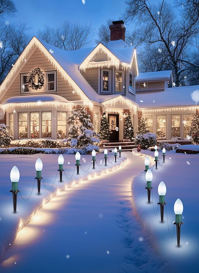 Brightown Frosted C9 LED Christmas Lights Outdoor, 32Ft Pathway Lights with 25 LED Bulbs, Pure White