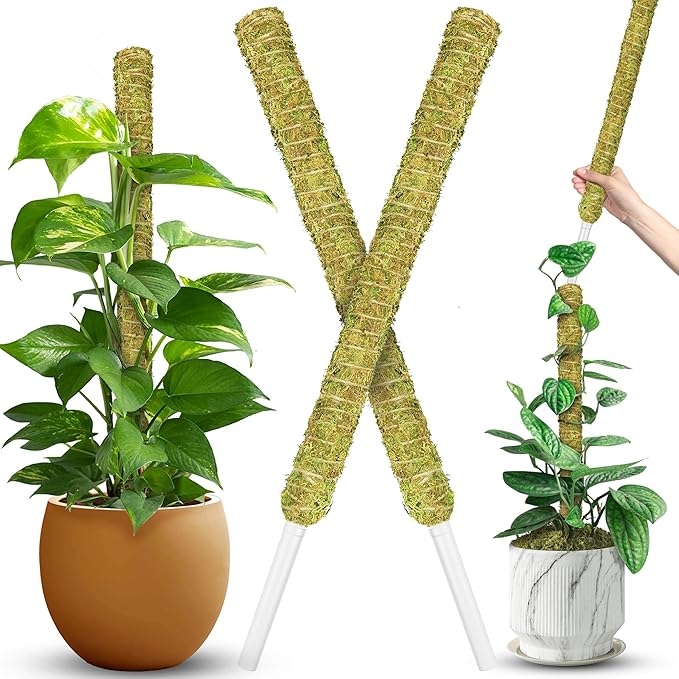 DUSPRO Natural Stackable Moss Pole for Plants Monstera, Forest Moss Sticks, Monstera Plant Support, Handmade Plant Stakes for Indoor Plants for Potted Plant to Grow Upward 02 pcs 22''