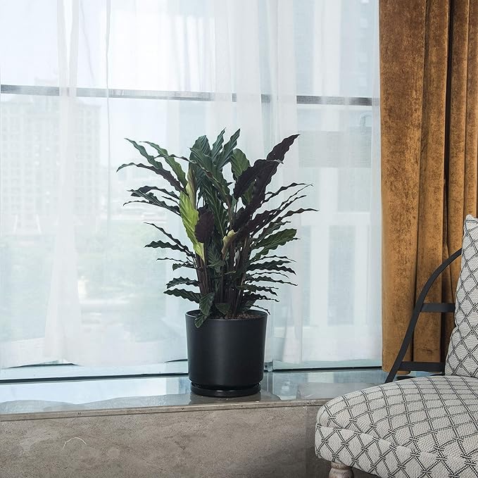 Ekirlin 7 inch Plant Pots,Ceramic Flower Planters Indoor,Modern Succulents Containers with Drain Hole Saucer,Decorate Home,Office & Outdoor (Black)