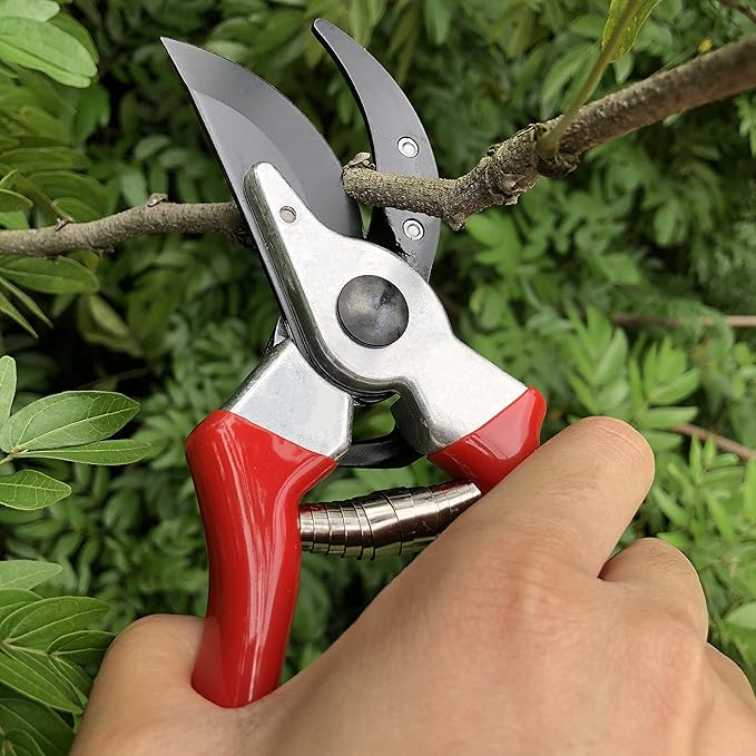 gonicc 8" Professional Sharp Bypass Pruning Shears (GPPS-1002), Tree Trimmers Secateurs,Hand Pruner, Garden Shears,Clippers For The Garden, Bonsai Scissors, Loppers