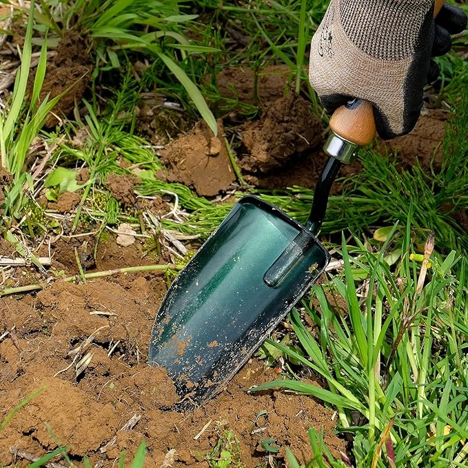 Garden Helper Large Garden Trowel Hand Tool, Hand Shovel for Planting and Transplanting, Heavy Duty Japanese Steel Blade, Wood Handle, Made in Japan