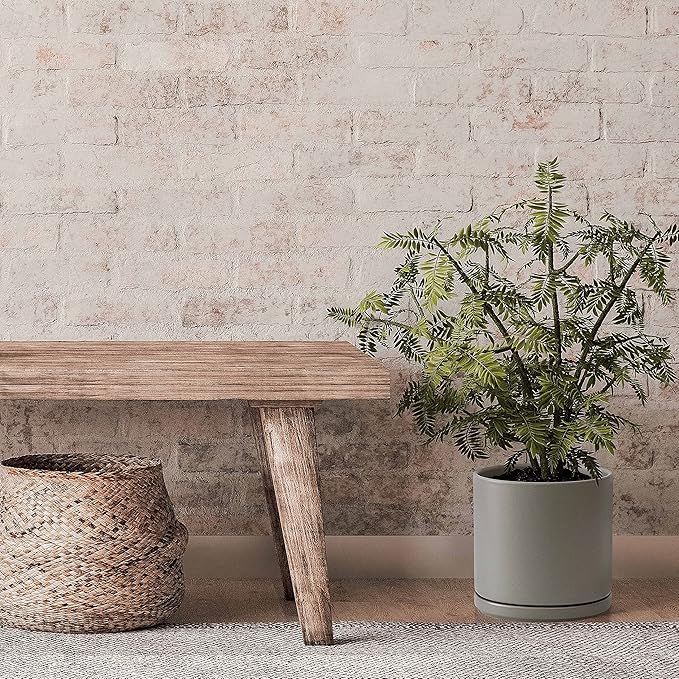 D'vine Dev Set of 2 Plants Pots, 10 Inch Ceramic Planter Pot for Plants with Drainage Hole and Saucer, Speckled Grey, 94-V-E-3