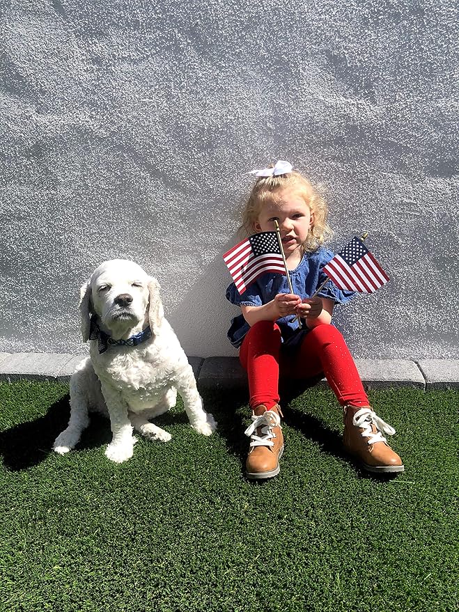 American Flags on Stick - Handheld Spearhead US Flag for 4th of July, Memorial Day Event Decorations - Patriotic Decor for Indoors & Yard - Wooden Stick, Cotton Fabric (4"X6" - 12 Pack)