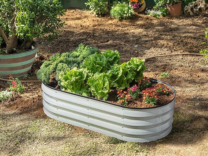 Galvanized Raised Garden Beds Outdoor // 4×2×1 ft Planter Raised Beds for Gardening, Vegetables, Flowers // Large Metal Garden Box (White Wood Grain)